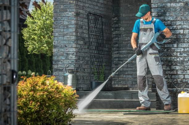 Best Roof Washing  in Somonauk, IL
