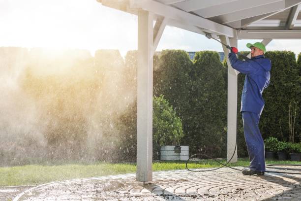 Best Patio and Deck Pressure Washing  in Somonauk, IL