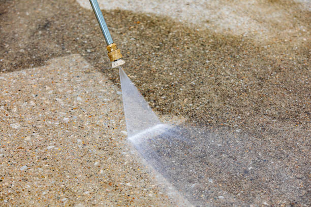 Best Dumpster Area Cleaning  in Somonauk, IL