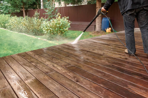 Pre-Holiday Cleaning in Somonauk, IL