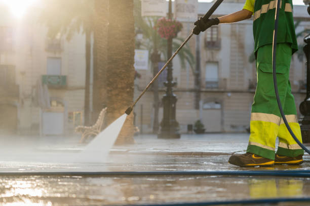 Best Gutter Cleaning  in Somonauk, IL